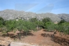 propiedades en Mallorca